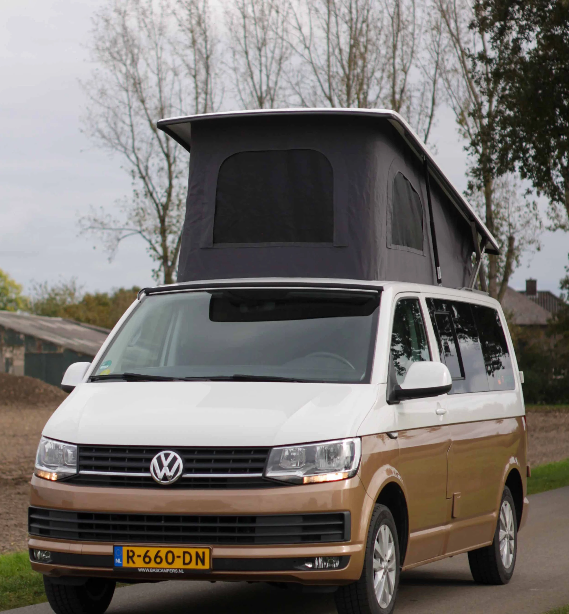 BC Hefdak Bas scaled