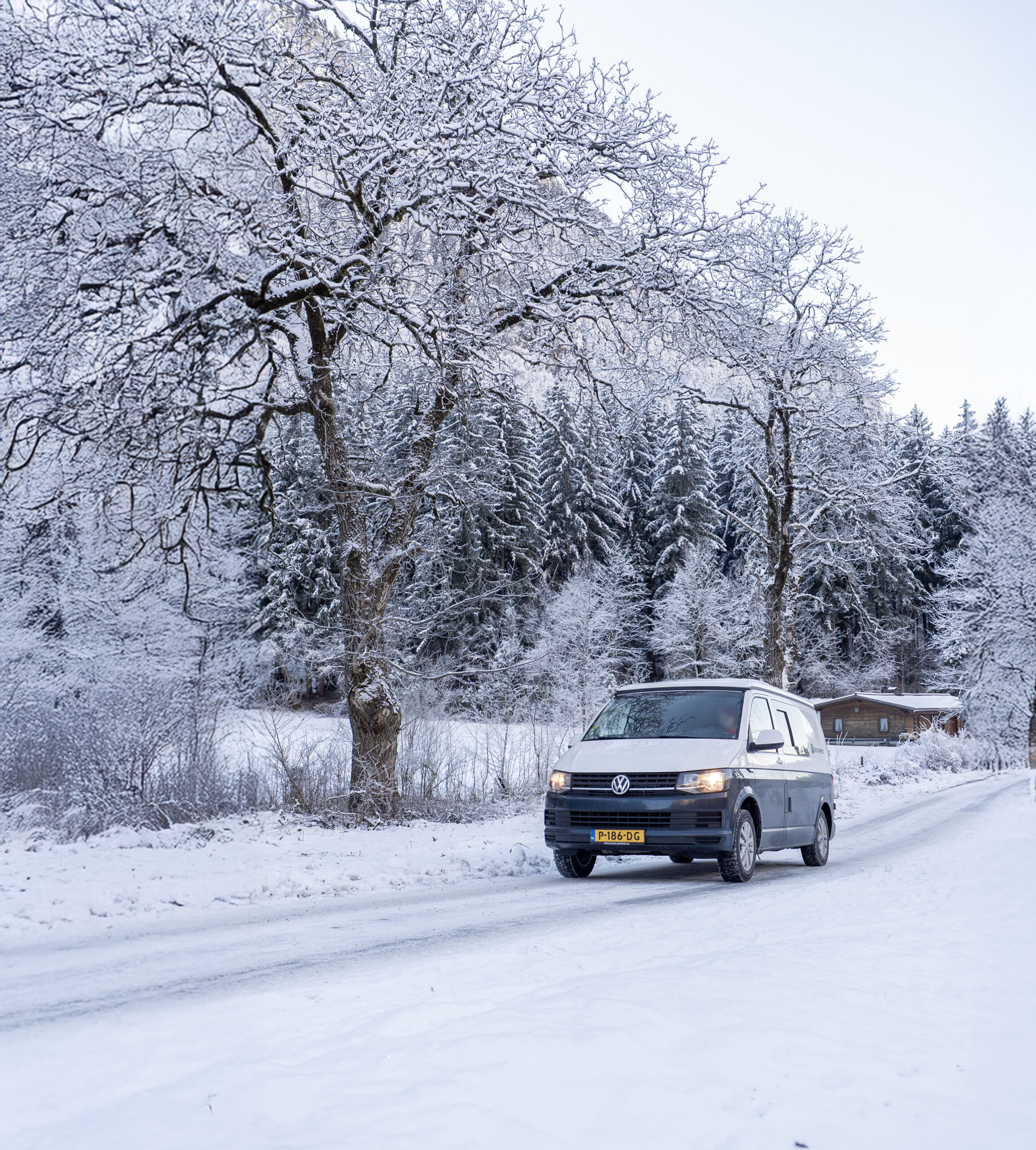 Mobile banner scaled