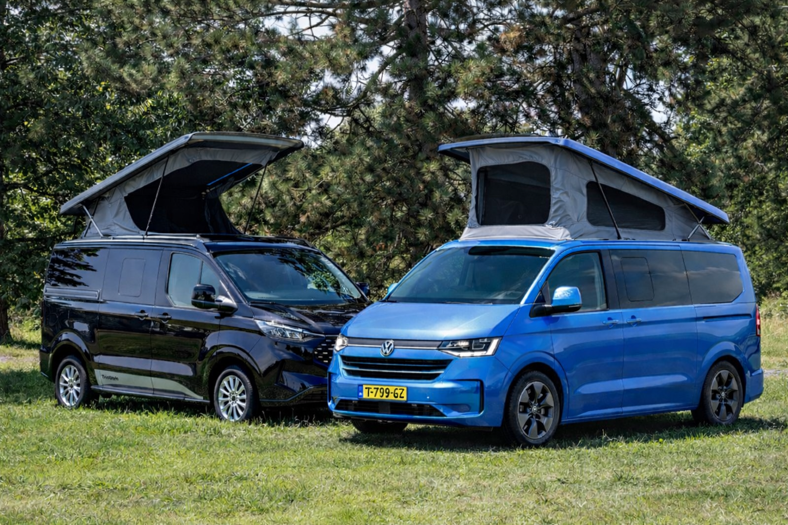 5970299a 55aa 450c 8442 1d610c0c4823